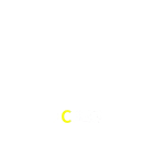 C333