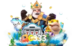 C333